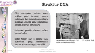 •DNA merupakan polimer asam
nukleat yang tersusun secara
sistematis dan merupakan pembawa
informasi genetic yang diturunkan
kepada generasi berikutnya.
•Informasi genetic disusun dalam
bentuk kodon
•kodon terdiri dari 3 pasang basa
nukleotida yang menentukan
bentuk, struktur fungsi suatu MH
James Watson and Francis Crick , 1953 struktur DNA
untai ganda (double helix)
Struktur DNA
28/10/19
dr. Helsy Junaidi, M.Biomed.
BLOK 1.2 FK GUNADARMA - 2019
6
 