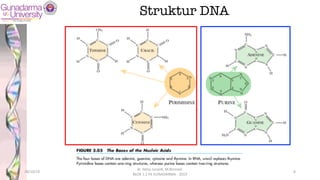 Struktur DNA
28/10/19
dr. Helsy Junaidi, M.Biomed.
BLOK 1.2 FK GUNADARMA - 2019
8
 