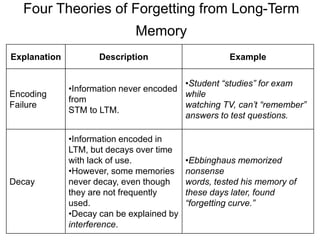 Memory Deficit Theory physiologi learn.ppt