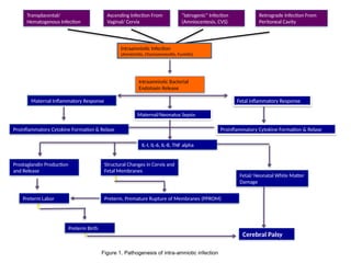 Blok 25 - Preterm - Posterm PPT - .pptx