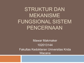 STRUKTUR DAN
MEKANISME
FUNGSIONAL SISTEM
PENCERNAAN
Mawar Makmaker
102013144
Fakultas Kedokteran Universitas Krida
Wacana
 