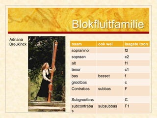 Blokfluitfamilie
Adriana
Breukinck naam ook wel laagste toon
sopranino f2
sopraan c2
alt f1
tenor c1
bas basset f
grootbas c
Contrabas subbas F
Subgrootbas C
subcontraba
s
subsubbas F1
 