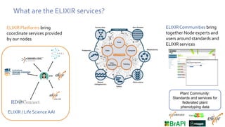 What are the ELIXIR services?
ELIXIR Platforms bring
coordinate services provided
by our nodes
Beacons/Local EGA – Federated
Genomics Discovery & Query
services
ELIXIR / Life Science AAI
ELIXIRCommunities bring
together Node experts and
users around standards and
ELIXIR services
Plant Community:
Standards and services for
federated plant
phenotyping data
 
