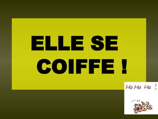 ELLE SE COIFFE ! 