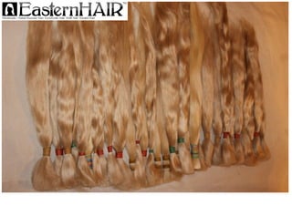 Eastern European Blondes Natural Healthy and Thick Hair Bundles