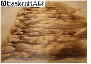 Premium Blondes Natural Long and Very Glossy Russian Human Hair Bundels