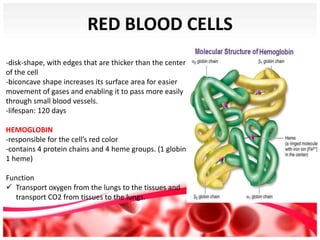 BLOOD-1.pptx