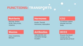 To remove carbon
dioxide from the
body
Ensures the blood
remains at the
appropriate pH level
CO2
HCO3
FUNCTIONS: TRANSPORTS
Nutrients
Glucose, Amino
Acids, Fatty Acids,
Vitamins
Hormones
Insulin, Thyroid
Hormones, Adrenaline
Wastes
Urea, Creatinine,
Bilirubin
Antibodies
Help identify and
neutralize foreign
invaders
 