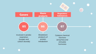 Gases
Involved in aerobic
respiration
(oxygen and
carbon dioxide)
Waste
products
Breakdown
products of
protein
metabolism
Regulatory
Substances
Catalyze chemical
reactions
(enzymes) and
stimulate
hormones
05 06 07
 
