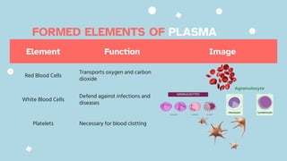 FORMED ELEMENTS OF PLASMA
Element Function Image
Red Blood Cells
Transports oxygen and carbon
dioxide
White Blood Cells
Defend against infections and
diseases
Platelets Necessary for blood clotting
 