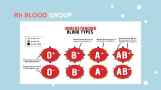 Rh BLOOD GROUP
 
