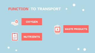 FUNCTION: TO TRANSPORT
OXYGEN
WASTE PRODUCTS
NUTRIENTS
 
