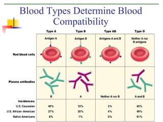 Blood | PPT