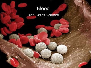 Blood 6th Grade Science 