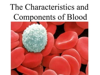 The Characteristics and  Components of Blood 