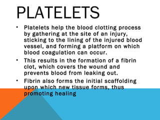 Blood | PPT