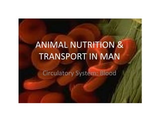 ANIMAL NUTRITION & TRANSPORT IN MAN Circulatory System: Blood 