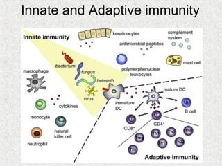Innate and Adaptive immunity
 