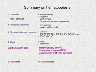 Summary on hematopoiesis
1.    Stem cell                  - self-maintaining
                                 - polypotent
     СКК – CD34+/38-             - slowly divided
                                 - Не отвечают на запрос организма
2. Multipotent progenitors       - form colonies
                                 - myeloid and lymphoid

3. Oligo- and Unipotent progenitors - CFU-GM
                                    - CFU-M, CFU-Nph, CFU-Eo, CFU-Bph, CFU-Mg
                                    - BFU-E – CFU-E


4. Blasts                        - large
                                 - fast division

5. Differentiating cells          Morphologically different
                                  Changes of shape and NCR
                                  Accumulation of specific structures



6. Mature cells                  In peripheral blood
 