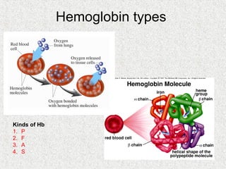 Hemoglobin types




Kinds of Hb
1. P
2. F
3. A
4. S
 