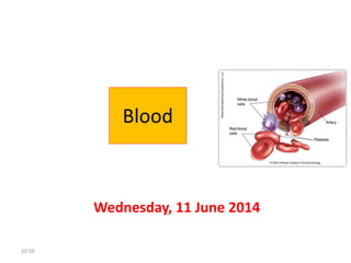 Blood
Wednesday, 11 June 2014
10:56
 