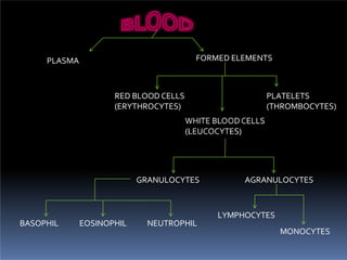 blood-conversion | PPTX