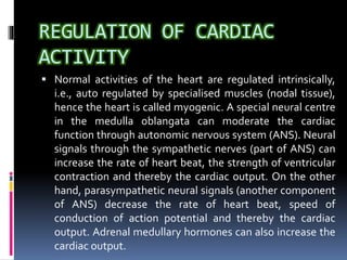 Regulating Heart Activity BODY FLUIDS AND CIRCULATION | PPTX