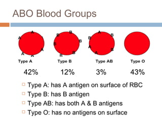 ABO Blood Groups
42% 12% 3% 43%
 Type A: has A antigen on surface of RBC
 Type B: has B antigen
 Type AB: has both A & B antigens
 Type O: has no antigens on surface
 
