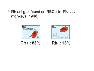 Rh antigen found on RBC’s in Rhe sus
monkeys (1940)
Rh+ : 85% Rh- : 15%
 