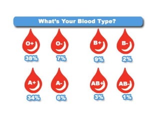 Anatomy & Physiology Lecture Notes - Blood