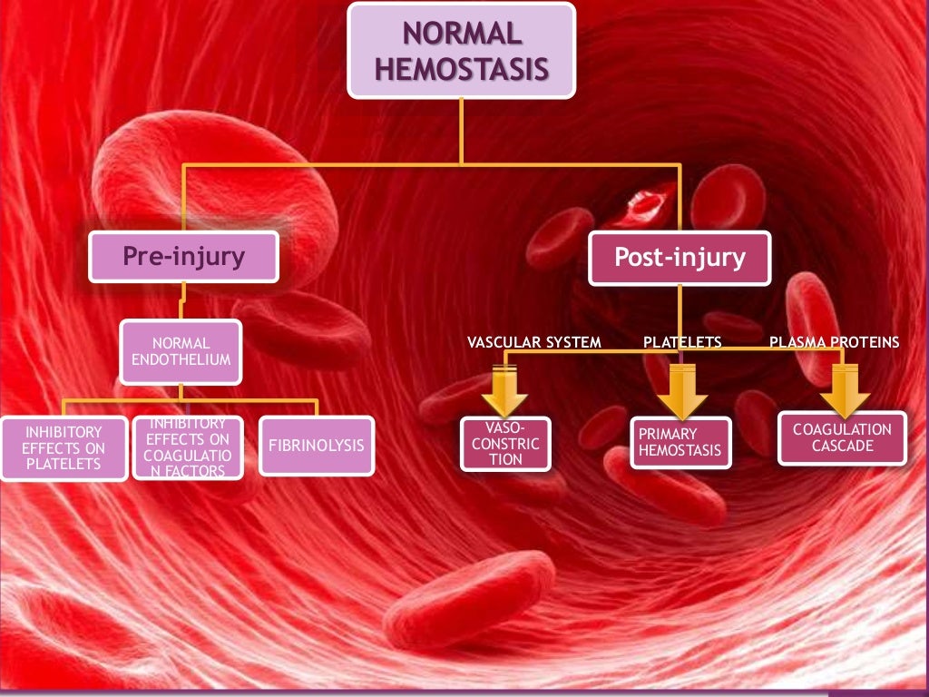 HEMOSTASIS OF BLOOD