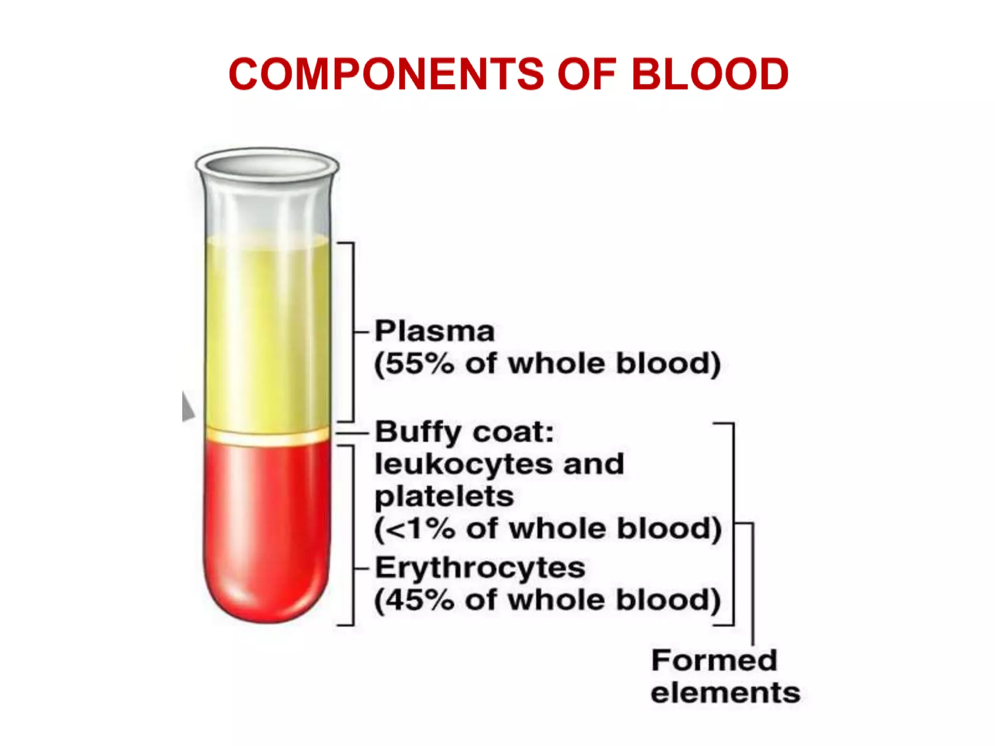 blood-ppt