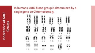 MajorABO
BloodGroup
InheritanceofABO
Groups In humans, ABO blood group is determined by a
single gene on Chromosome 9.
 
