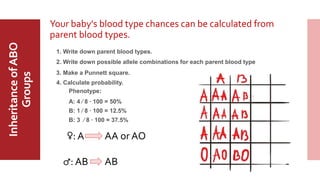 MajorABO
BloodGroup
InheritanceofABO
Groups Your baby's blood type chances can be calculated from
parent blood types.
1. Write down parent blood types.
♀: A
♂: AB
2. Write down possible allele combinations for each parent blood type
AA or AO
AB
3. Make a Punnett square.
4. Calculate probability.
Phenotype:
A: 4 ∕ 8 ∙ 100 = 50%
B: 1 ∕ 8 ∙ 100 = 12.5%
B: 3 ∕ 8 ∙ 100 = 37.5%
 