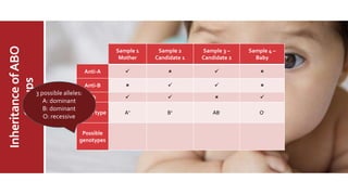 MajorABO
BloodGroup
InheritanceofABO
Groups
Sample 1
Mother
Sample 2
Candidate 1
Sample 3 –
Candidate 2
Sample 4 –
Baby
Anti-A    
Anti-B    
Rh    
Blood type A+ B+ AB- O-
Possible
genotypes
3 possible alleles:
A: dominant
B: dominant
O: recessive
 