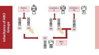 MajorABO
BloodGroup
InheritanceofABO
Groups Candidate 1
B
Candidate 2
AB
Mother
A
Baby
O
AA AO BB BO AB
OO
 