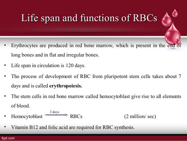 The Blood Cell, Immunity and blood coagulation