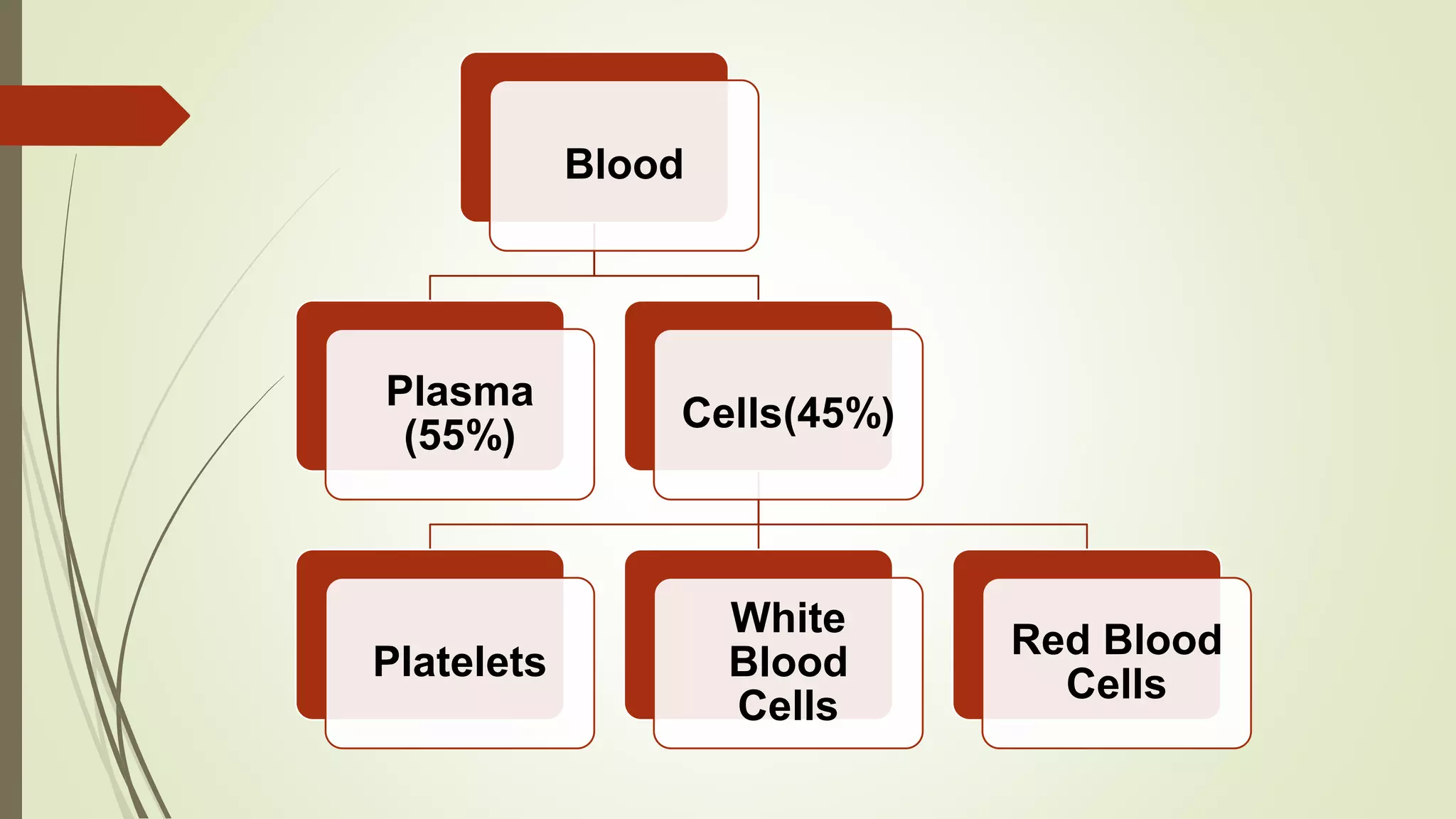 Blood | PPTX