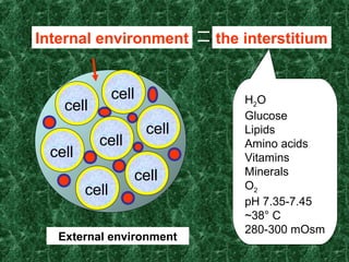 cell
cell
cell
cell
cell
cell
cell
Internal environment
External environment
the interstitium
H2O
Glucose
Lipids
Amino acids
Vitamins
Minerals
O2
pH 7.35-7.45
~38° C
280-300 mOsm
 