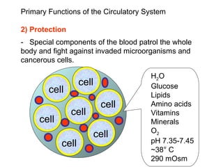 Primary Functions of the Circulatory System
2) Protection
- Special components of the blood patrol the whole
body and fight against invaded microorganisms and
cancerous cells.
cell
cell
cell
cell
cell
cell
cell
H2O
Glucose
Lipids
Amino acids
Vitamins
Minerals
O2
pH 7.35-7.45
~38° C
290 mOsm
 