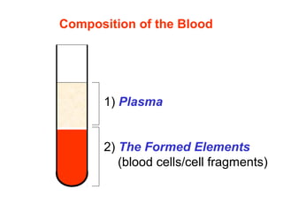 1) Plasma
2) The Formed Elements
(blood cells/cell fragments)
Composition of the Blood
 
