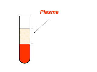 Plasma
 