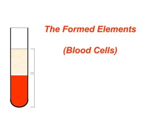 The Formed Elements
(Blood Cells)
 