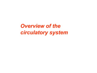 Overview of the
circulatory system
 