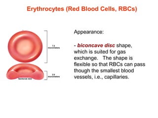 Erythrocytes (Red Blood Cells, RBCs)
Appearance: 
- biconcave disc shape, 
which is suited for gas 
exchange.   The shape is 
flexible so that RBCs can pass 
though the smallest blood 
vessels, i.e., capillaries.
 