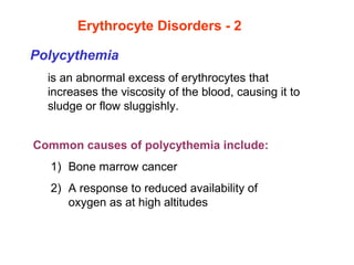 Common causes of polycythemia include:
1) Bone marrow cancer
2) A response to reduced availability of 
oxygen as at high altitudes
Polycythemia 
is an abnormal excess of erythrocytes that 
increases the viscosity of the blood, causing it to 
sludge or flow sluggishly. 
 
Erythrocyte Disorders - 2
 