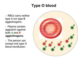 -  RBCs carry neither 
type A nor type B 
agglutinogens.
-  Plasma contain 
agglutinin against 
both A and B
agglutinogens.
-  The person can 
accept only type O 
blood transfusion.
Type O blood
A
A
A
AAA
B
BB
B
 