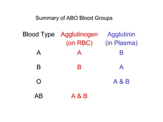 Blood Type Agglutinogen
(on RBC)
Agglutinin
(in Plasma)
A A B
B B A
O A & B
AB A & B
Summary of ABO Blood Groups
 