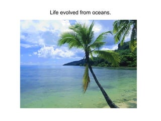 Life evolved from oceans.
 