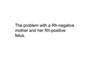 The problem with a Rh-negative 
mother and her Rh-positive 
fetus. 
 